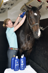 Nathalies Horse Care