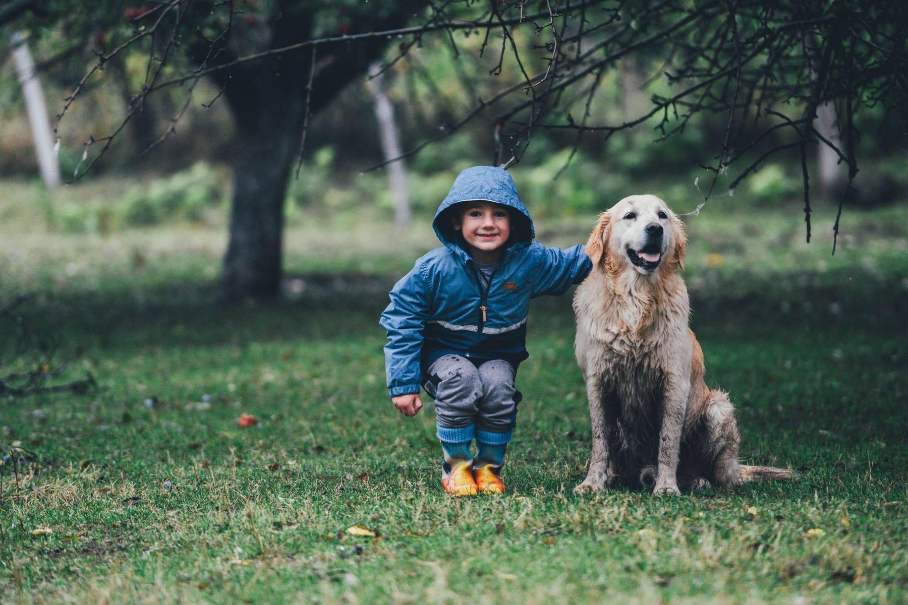 Ett barn med en hund i skogen