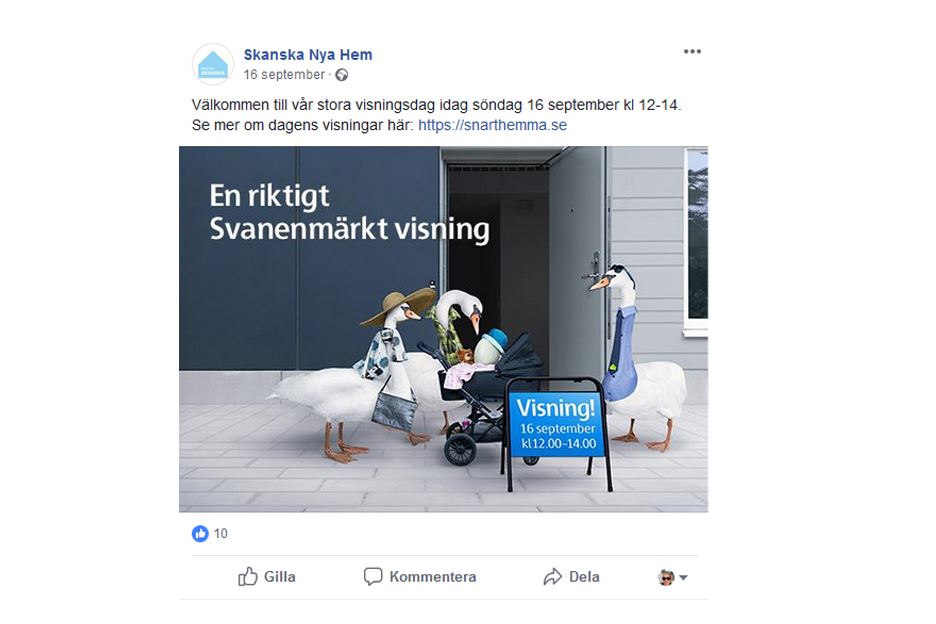 Skärmbild från Skanskas Instragram med tecknads svanar som ska flytta in i en ny bostad