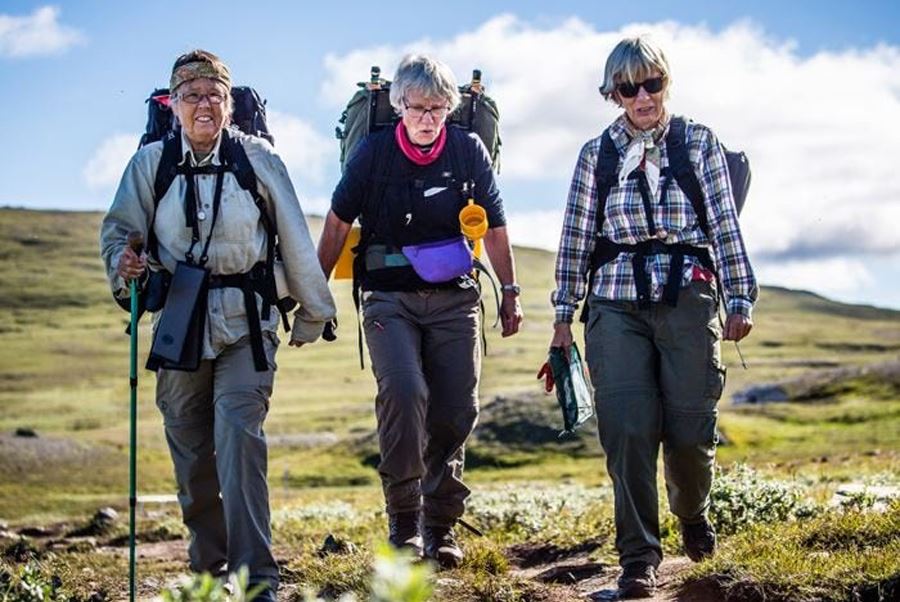 Tre äldre damer som vandrar med vandrarryggsäckar uppe på ett fjäll sommartid