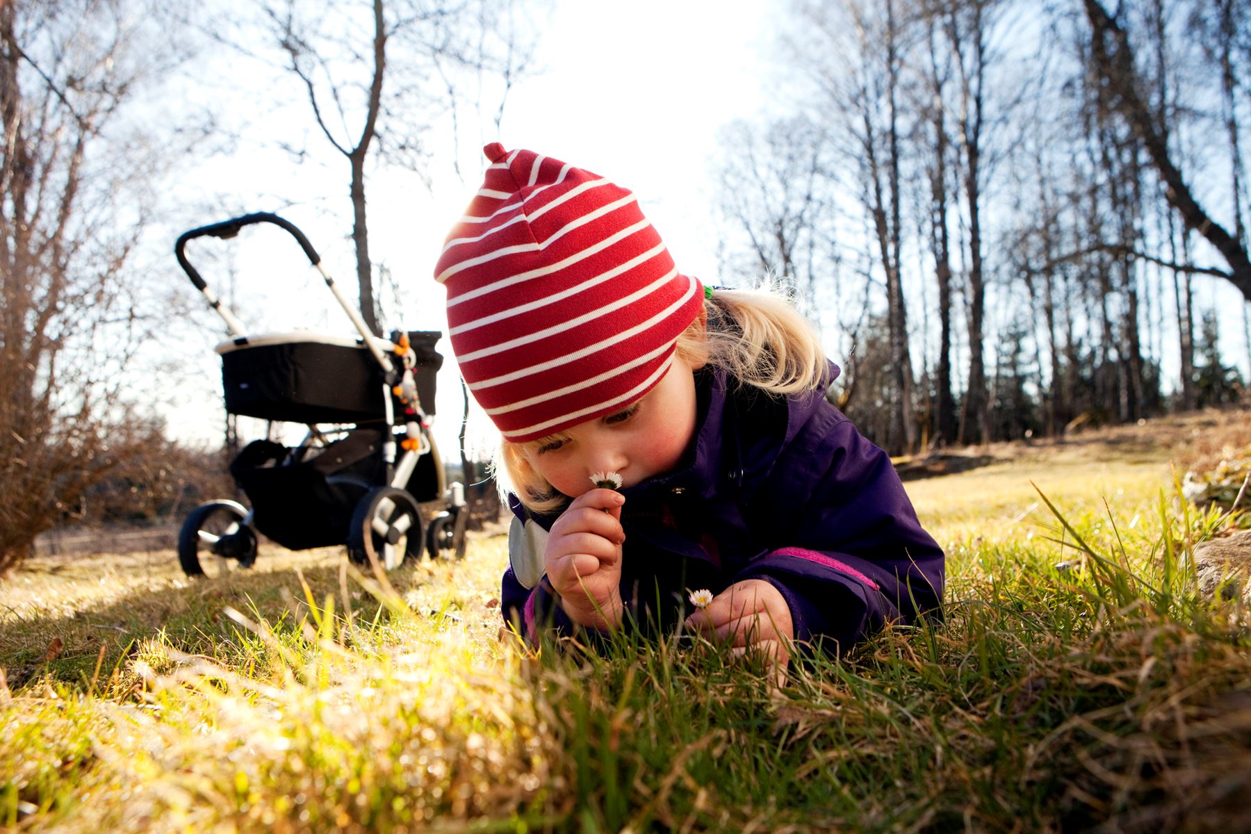 Litet barn ligger i gräs och luktar på en blomma klädd i vårjacka och tunn rödrandig mössa.