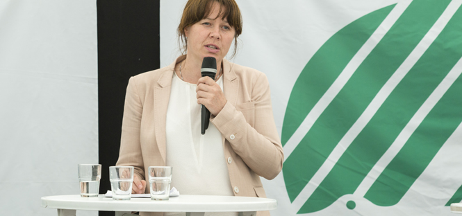 Åsa Romson