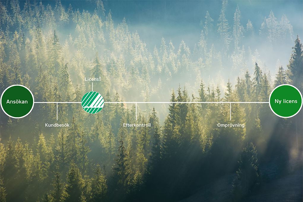 Skog i dimma samt en illustration över skärpta krav