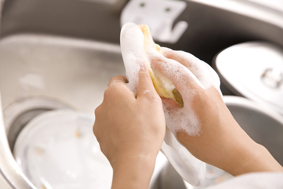 Hand Dishwashing Detergents 025