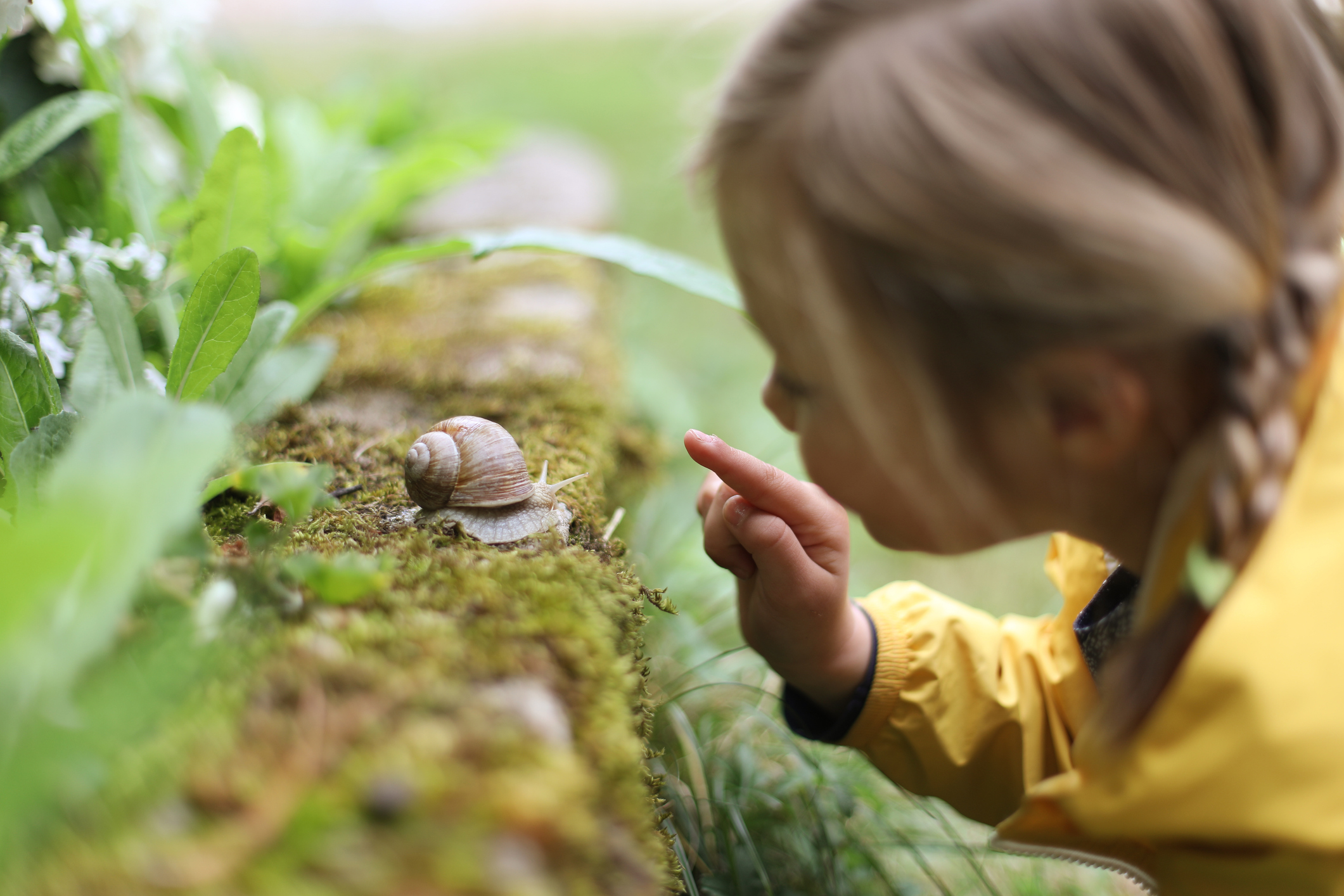Reduce environmental toxins with the Nordic Swan Ecolabel