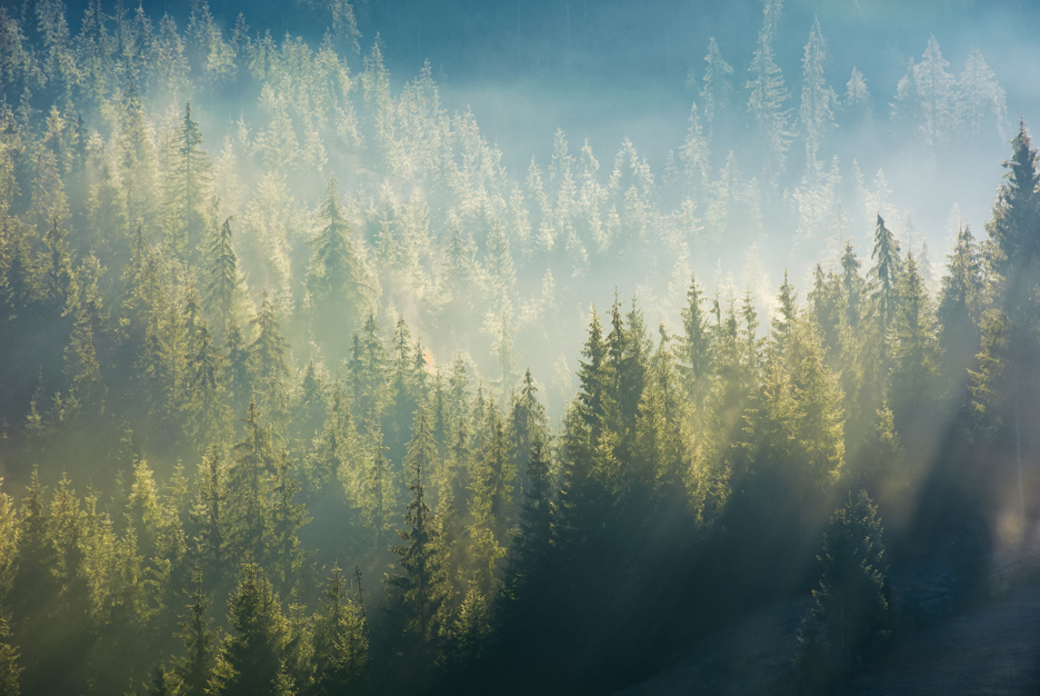 How are the requirements set by Nordic Ecolabelling?
